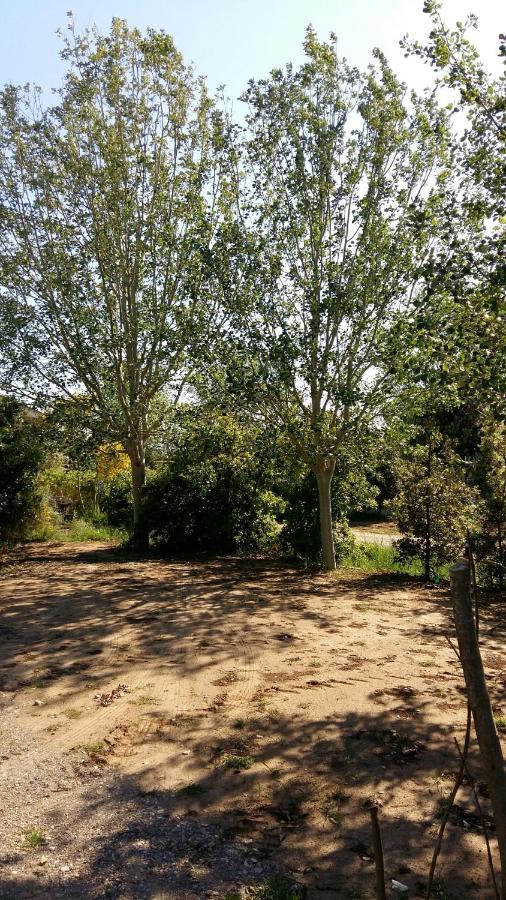 Bnatural Glamping Naturista/Nudista Baratti Esterno foto