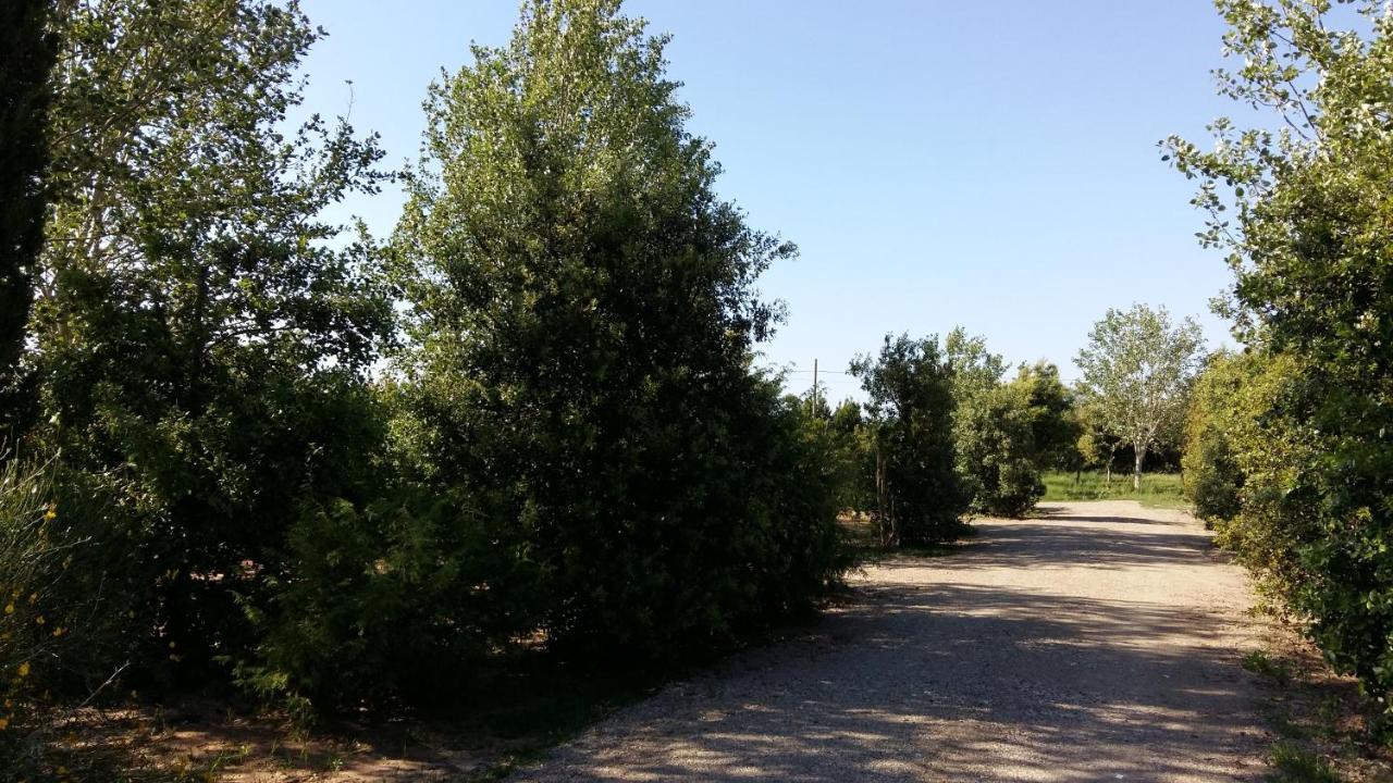 Bnatural Glamping Naturista/Nudista Baratti Esterno foto