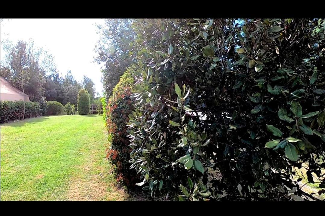 Bnatural Glamping Naturista/Nudista Baratti Esterno foto