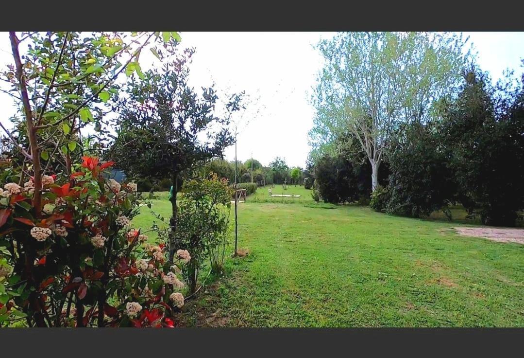 Bnatural Glamping Naturista/Nudista Baratti Esterno foto