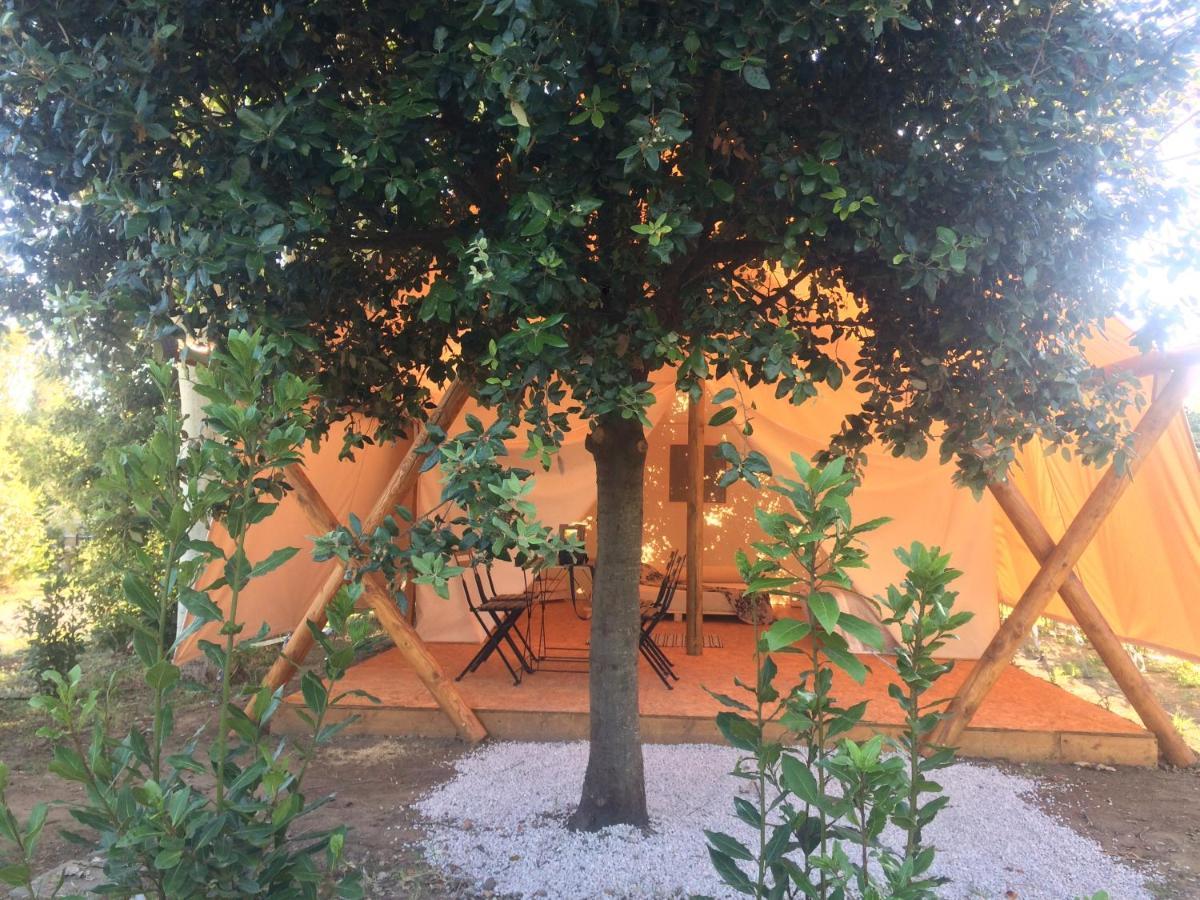 Bnatural Glamping Naturista/Nudista Baratti Esterno foto