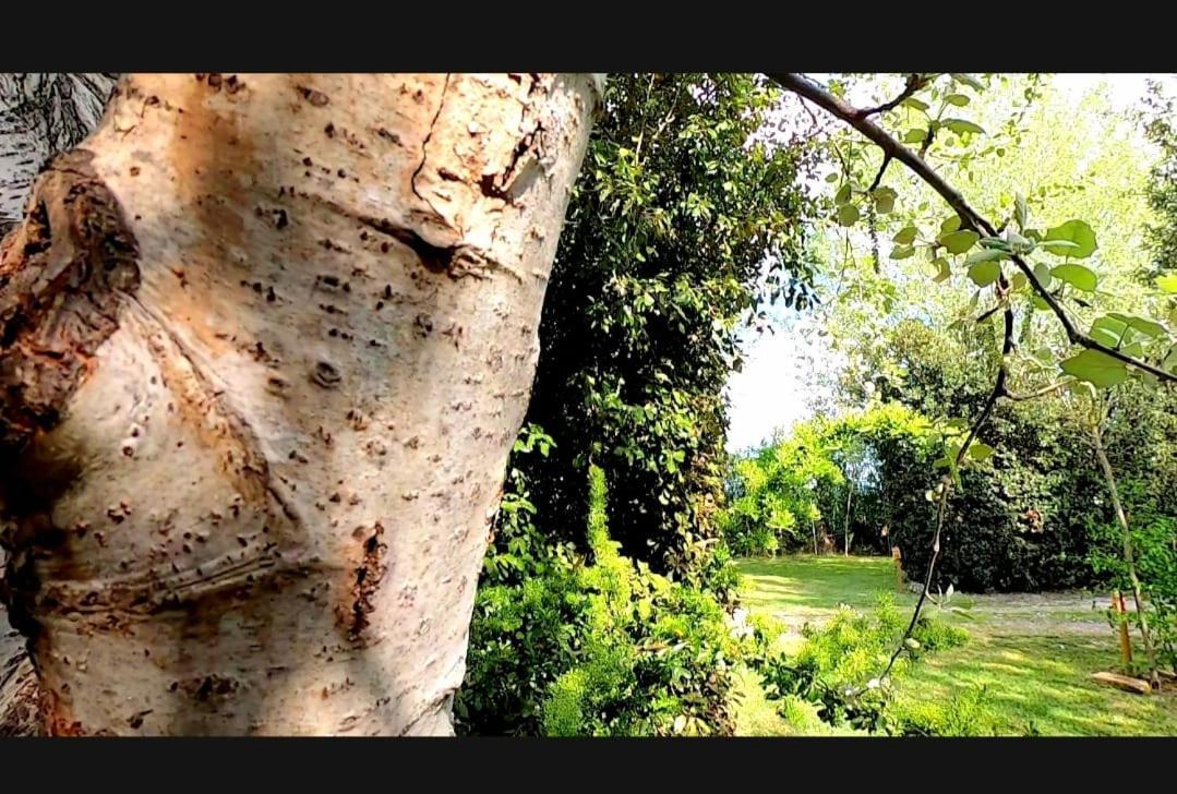 Bnatural Glamping Naturista/Nudista Baratti Esterno foto