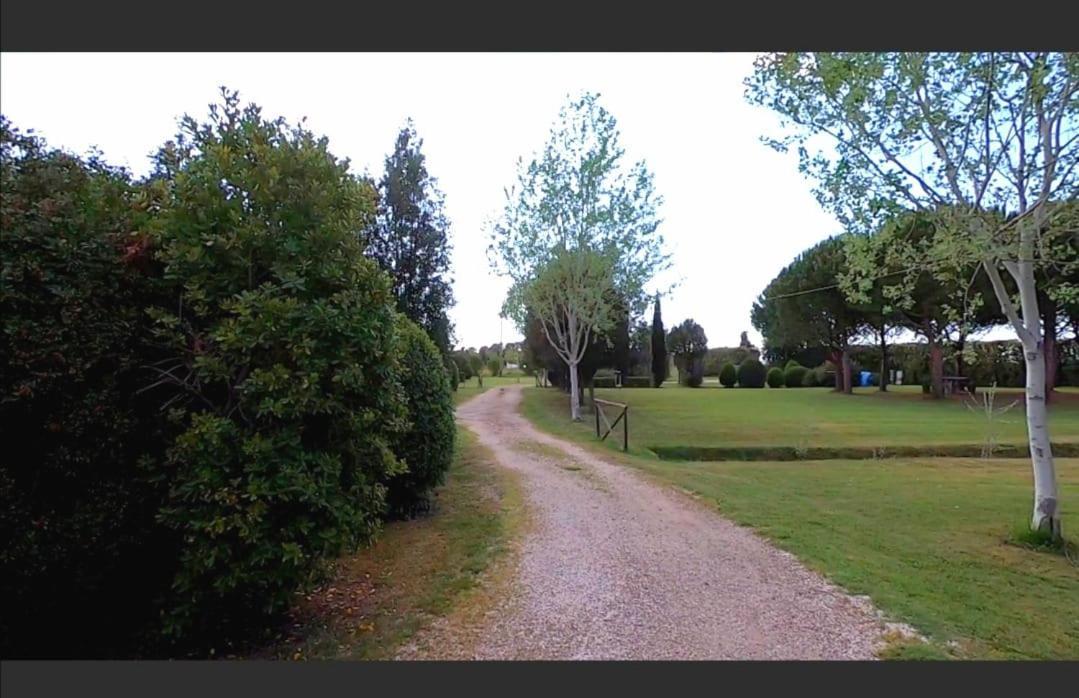 Bnatural Glamping Naturista/Nudista Baratti Esterno foto