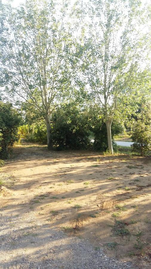 Bnatural Glamping Naturista/Nudista Baratti Esterno foto